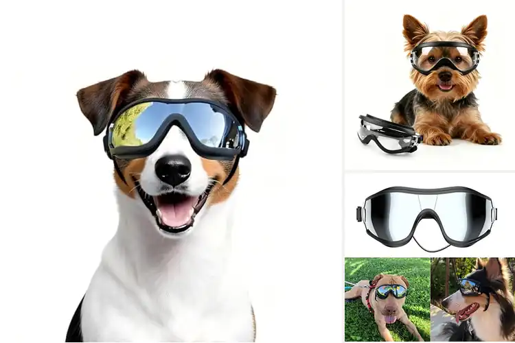Detailed view of Best Anti-Fog Dog Glasses: Top 10 Picks for Clear Vision