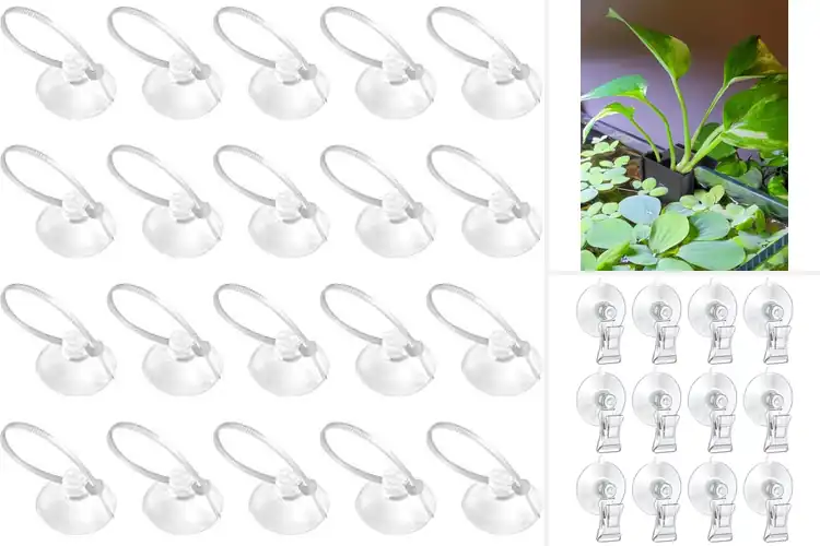 Detailed view of Best Aquarium Plant Clips
