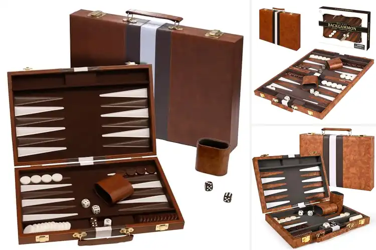Detailed view of Best Backgammon Sets