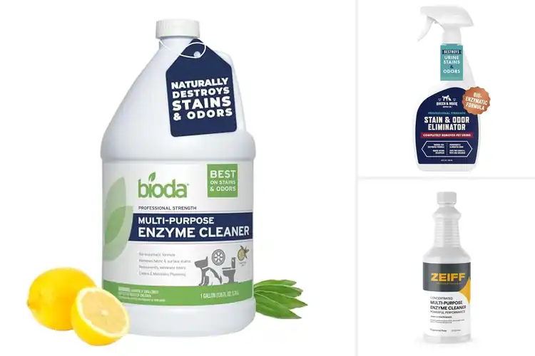 Detailed view of Best Bio-Enzyme Cleaners: Top 10 Picks for Sparkling Homes