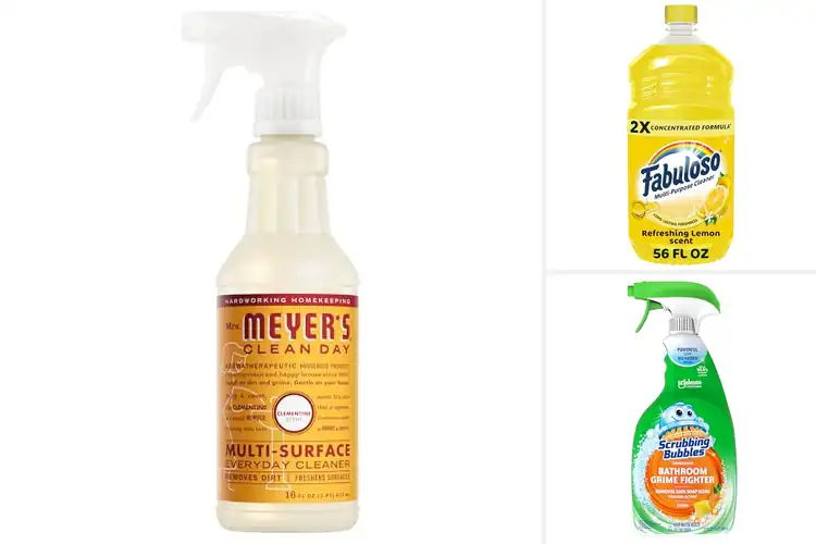 Detailed view of Best Citrus Scented Cleaners