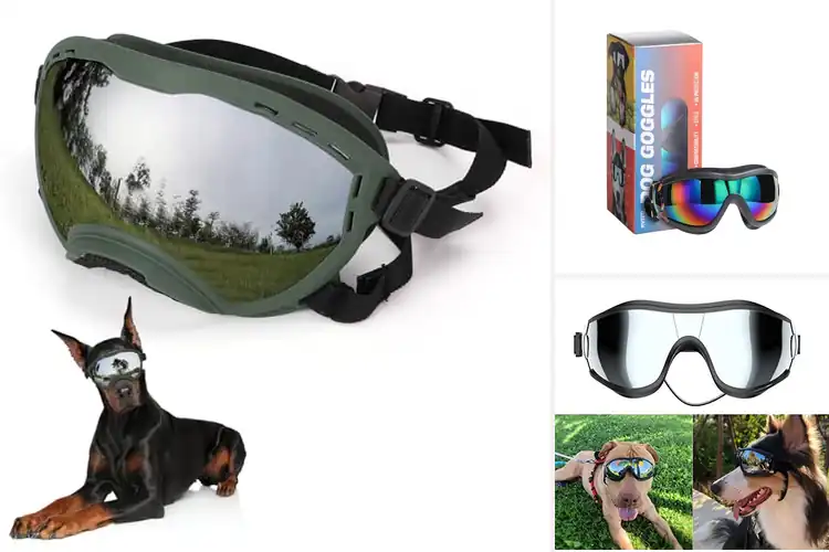 Detailed view of Best Dog Ski Goggles: Top Picks for Safe Snowy Adventures