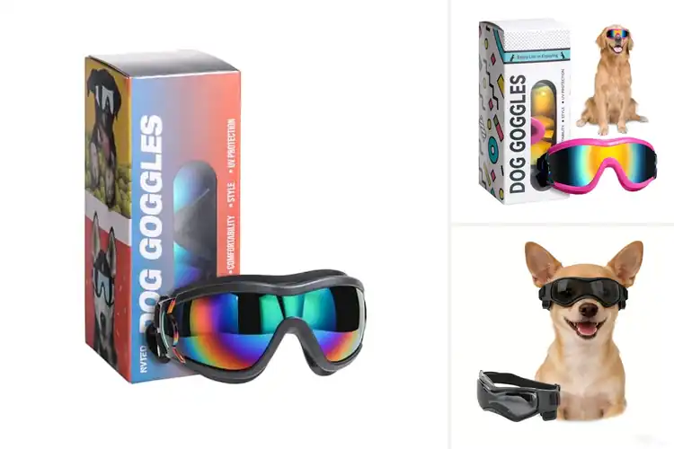 Detailed view of Best Dog Sunglasses