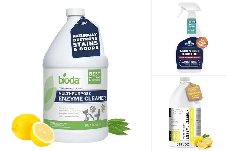 Detailed view of Best Enzyme Cleaners