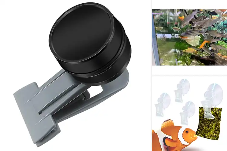 Detailed view of Best Fish Veggie Clips: Top 10 Picks for a Clean, Happy Tank