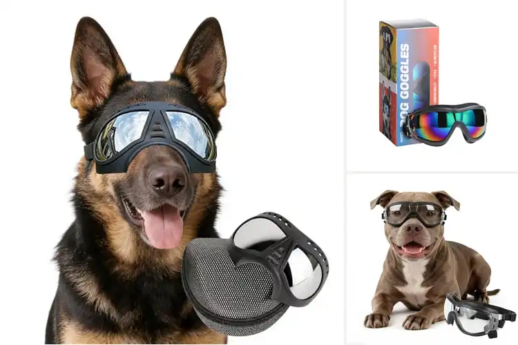 Detailed view of Best Goggles For Large Dogs