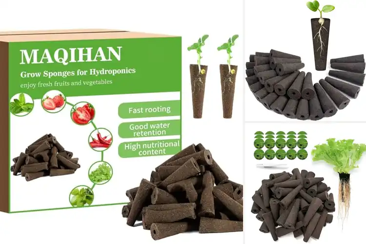 Detailed view of Best Hydroponic Grow Sponges