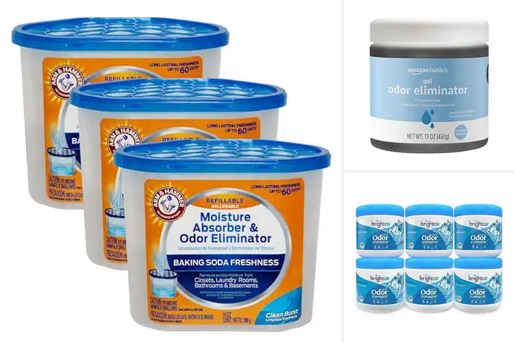 Detailed view of Best Odor Eliminators: Freshen Your Space with Lasting Power