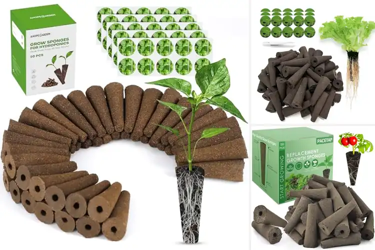 Detailed view of Best Organic Grow Sponges