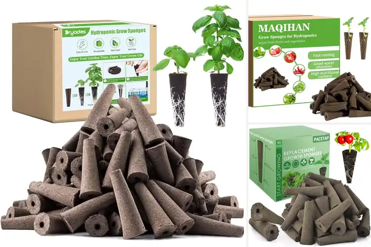 Detailed view of Best Peat Grow Sponges