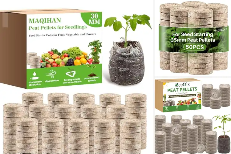 Detailed view of Best Seed Starter Pods