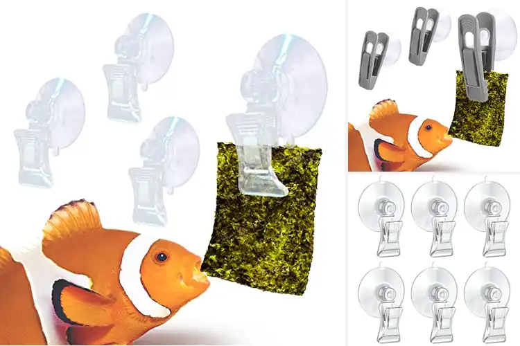 Detailed view of Best Shrimp Feeding Clips