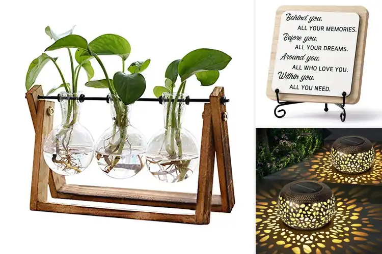Detailed view of Best Tabletop Gift Decorations