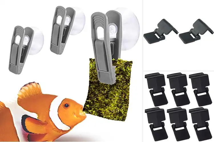 Detailed view of Best Turtle Feeding Clips